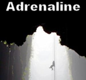 Adrenaline: The Spark