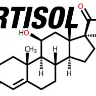 Cortisol